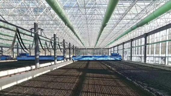 污泥變身環(huán)保新材料---制磚