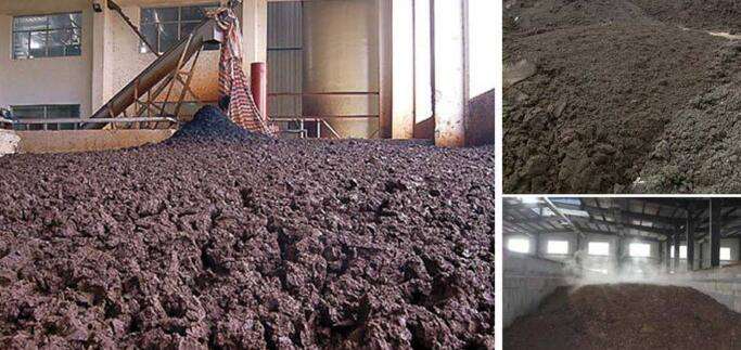 關(guān)于無(wú)機(jī)污泥和有機(jī)污泥的小知識(shí)