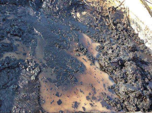 提高污水處理廠剩余污泥脫水性能